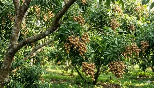 15 Tanaman Buah yang Cocok Dijadikan Warisan Hidup, Bisa Dinikmati Generasi Berikutnya