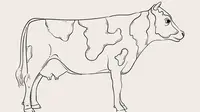 How to Draw a Cow in 2 Simple Styles