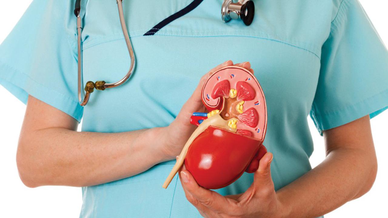 Orang yang Sudah Meninggal Pun Bisa Donor Ginjal