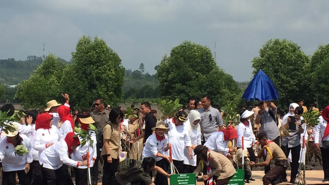 Iriana Jokowi menanam mangrove di Batam, Kepulauan Riau