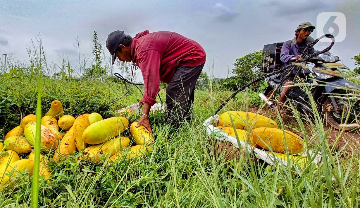Harga tersebut bisa mencapai hingga Rp9.000 per buah tergantung besarnya ukuran. (merdeka.com/Arie Basuki)