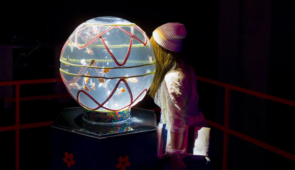 Pengunjung melihat ikan emas di dalam akuarium berbentuk bulat saat Pameran Seni Akuarium di Tokyo, Jepang (10/7/2015). Hiasan lampu LED juga disematkan di akuarium yang unik ini.  (REUTERS/Thomas Peter)