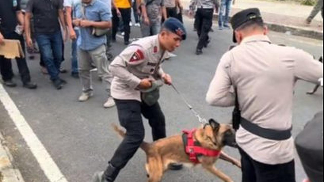 Tiba-tiba Menyerang dan Menggigit Komandan Polisi <br>