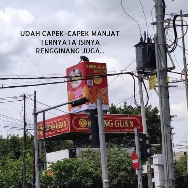 6 Desain Atap Rumah Ini Nyeleneh Banget, Bikin Bingung