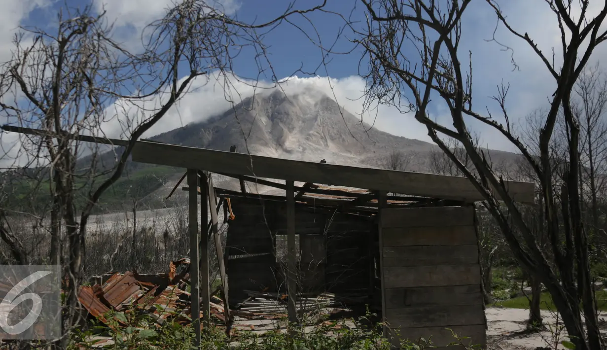 Rumah milik warga hancur terkena abu vulkanik Gunung Sinabung di Desa Sibintun, Sumatera Utara, Minggu (5/7/2015). Letusan yang terjadi dari 2013 sampai saat ini mengakibatkan puluhan ribu jiwa mengungsi. (Liputan6.com/Johan Tallo)
