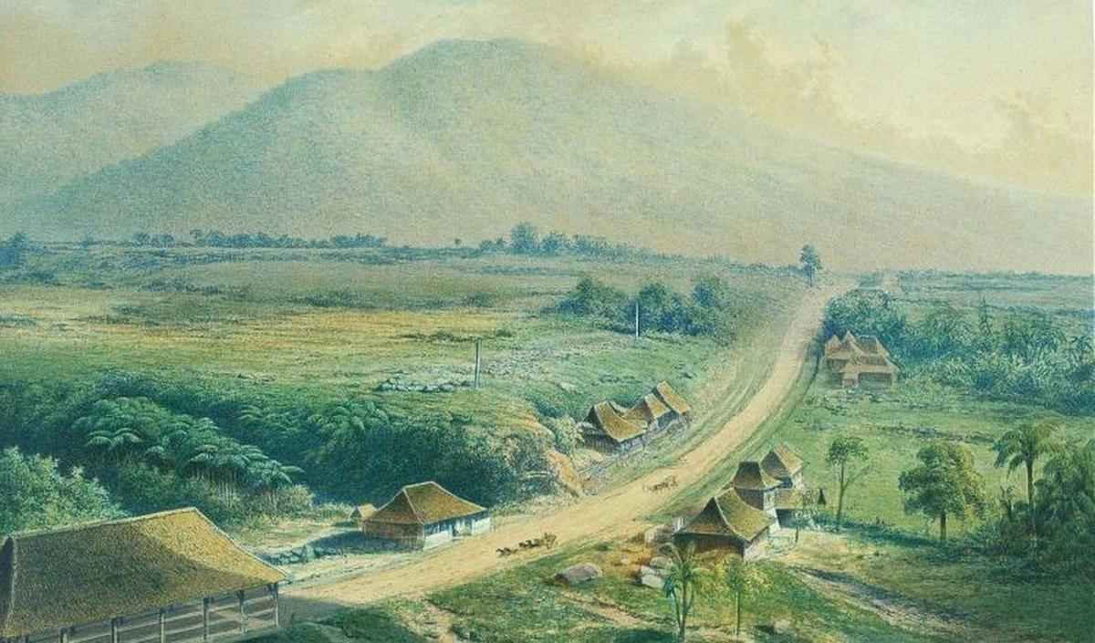 Menembus Hutan dan Kebun