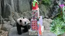 Sejak dilahirkan, panda jantan dari pasangan Kai Kai dan Jia Jia tersebut telah menarik perhatian publik. (Photo by Roslan RAHMAN / AFP)