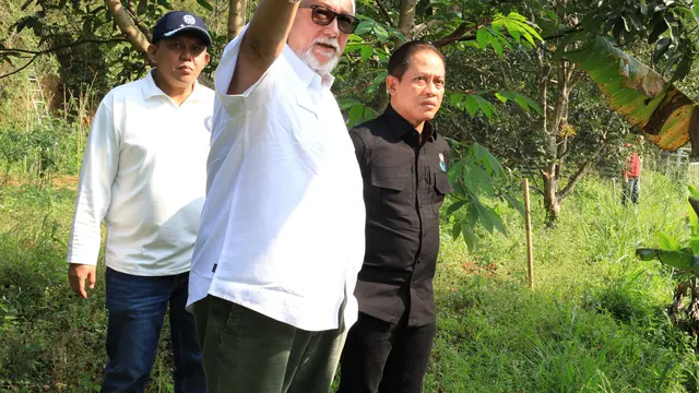 MenLH Ultimatum 33 Usaha di Puncak Bogor Bongkar Mandiri Bangunan Liar Maksimal Akhir Agustus 2025