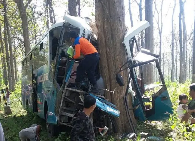 Dalam sebulan, sudah tiga kecelakaan menimpa angkutan umum dan semuanya terbalik terjadi di kawasan hutan jati yang terkenal angker itu. (Liputan6.com/Felek Wahyu)