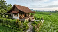 9 Inspirasi Rumah dengan Pemandangan Sawah yang Tetap Privat, Berikan Rasa Tenang tanpa Gangguan Tetangga