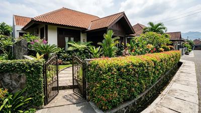 21 Jenis Tanaman untuk Pagar Hidup yang Cocok Mempercantik Rumah