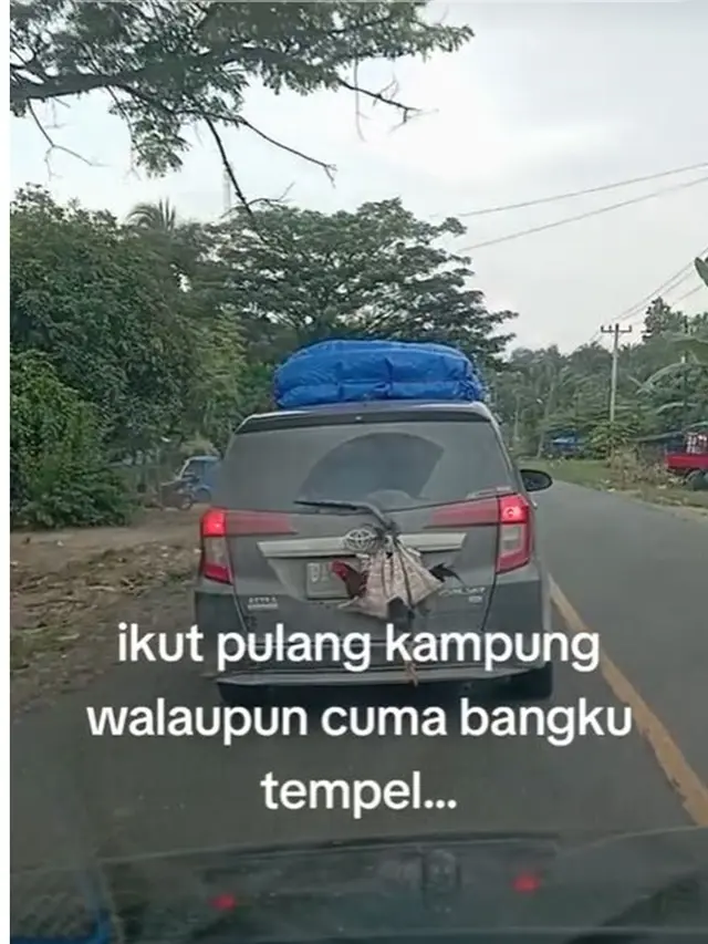 6 Potret Hewan Peliharaan Ikut Mudik Pakai Kendaraan Pribadi, Anteng Banget