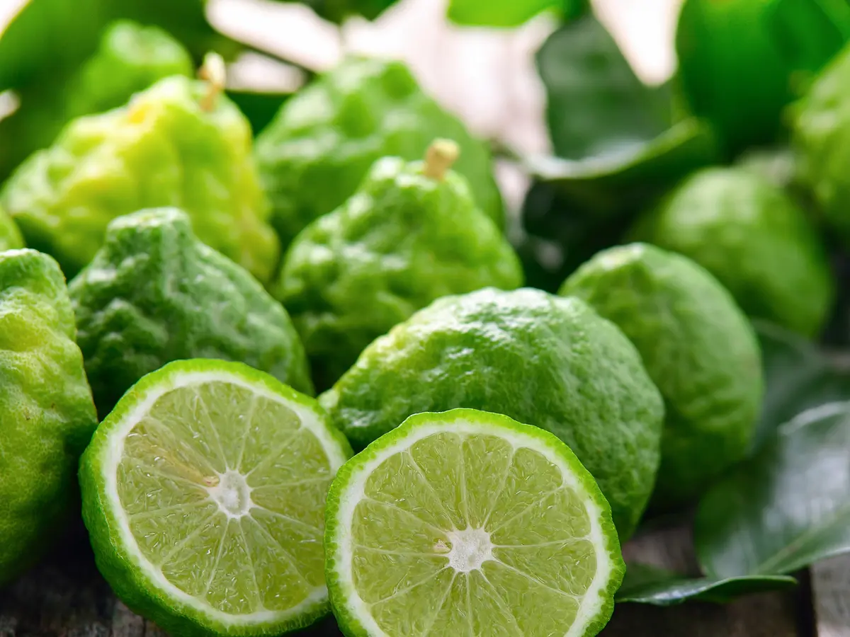 Fungsi Jeruk Limau Dalam Masakan, Campuran Sambal Hingga Penguat Cita Rasa  - Lifestyle Fimela.com