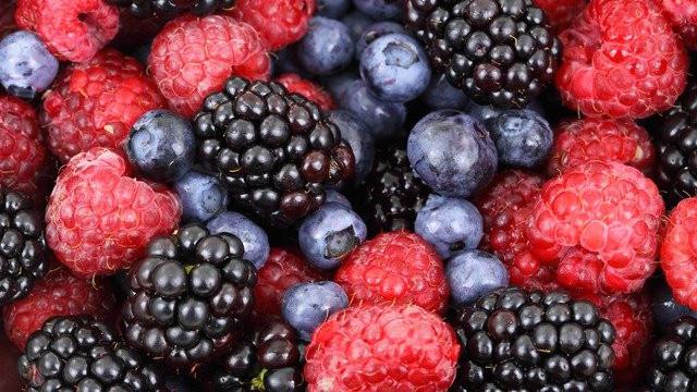 Buah Berry