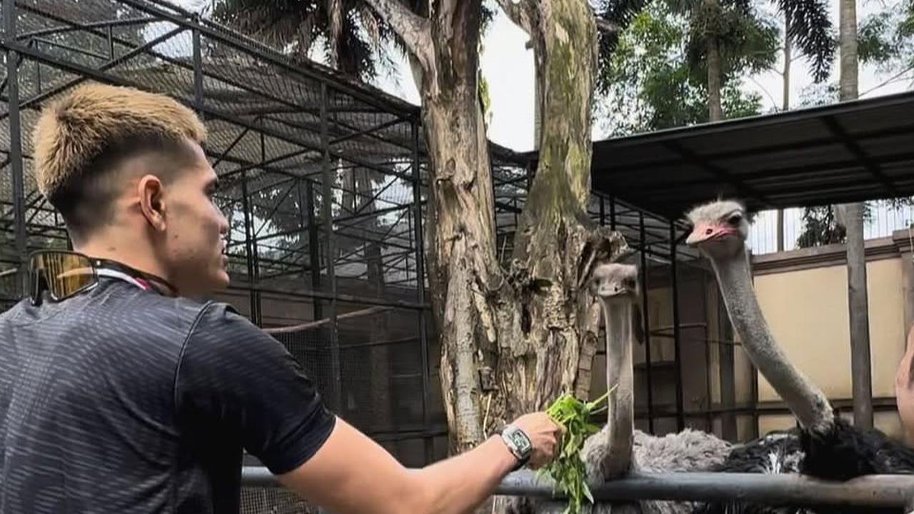Bak Sehari di Kebun Binatang, Intip Momen Keseruan Aisar Khaled Kunjungi Rumah Alshad Ahmad