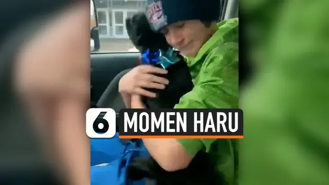 VIDEO: Momen Haru Anjing Bertemu Pemiliknya