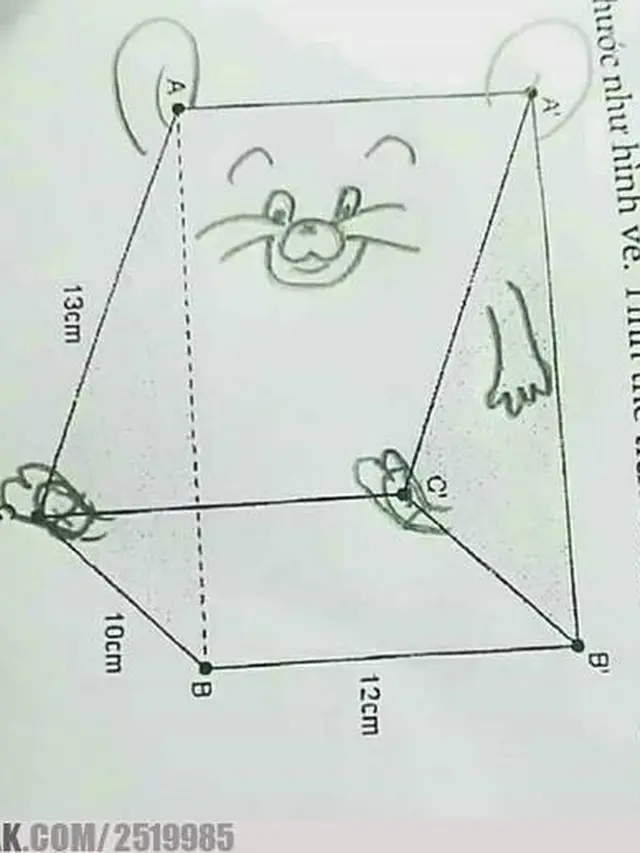 6 Coretan di Buku Pelajaran Matematika Ini Nyeleneh Banget