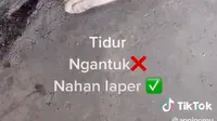 Dermawan, Pria Ini Rutin Beri Makan Kucing Liar yang Kelaparan
