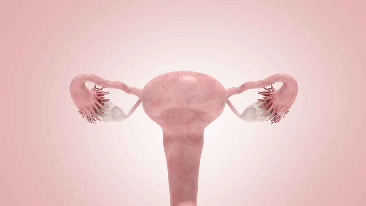 Vagina
