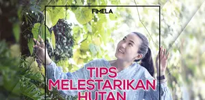 Tips Melestarikan Hutan