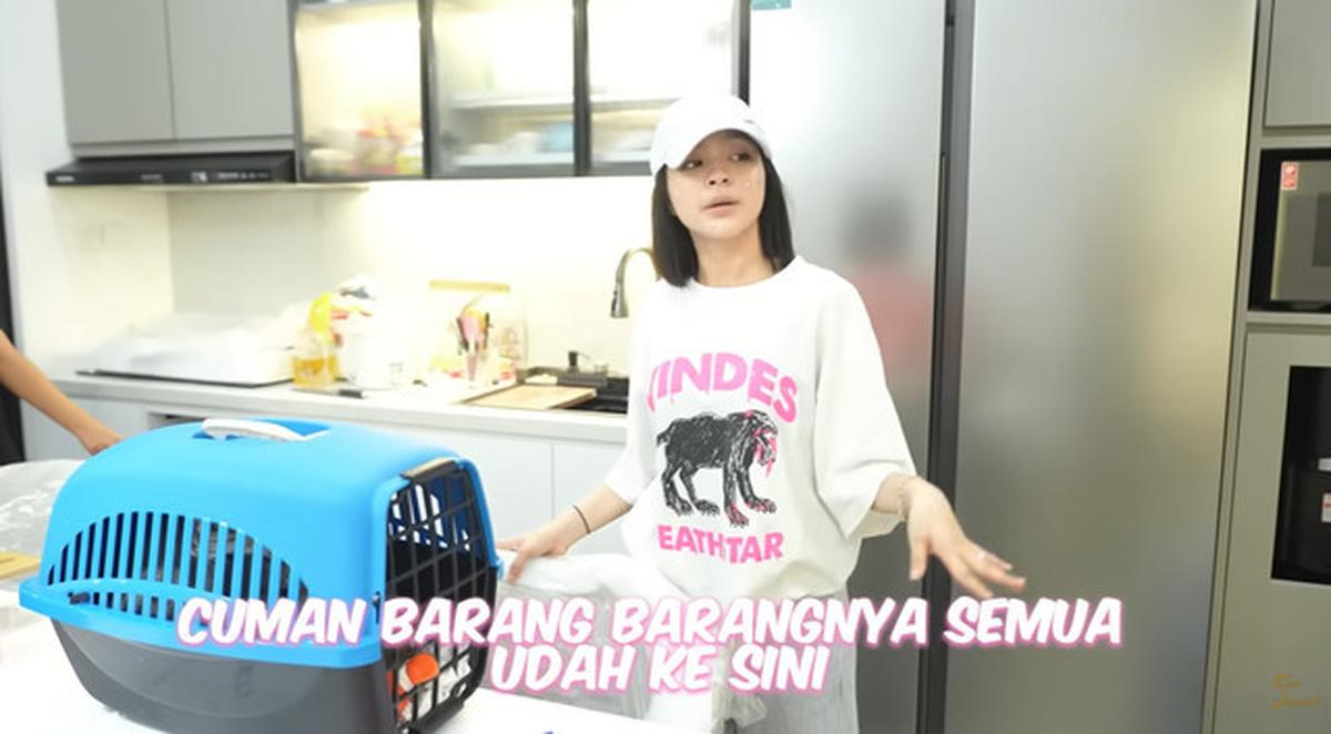 10 Potret Rumah Baru Elsa Japasal, Desain Minimalis dengan Tangga Spiral Unik