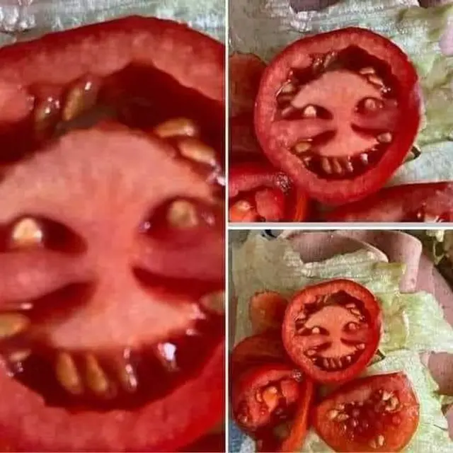 6 Potret Makanan Mirip Ekspresi Wajah Ini Unik, Muncul Beragam Imajinasi