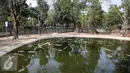 Sejumlah buaya tampak berenang di kolam berwarna hijau di Taman Buaya Indonesia Jaya (TBIJ), Jawa Barat, Minggu (26/7/2015). Taman Buaya Cikarang merupakan salah satu penangkaran terbesar di Asia bahkan dunia. (Liputan6.com/Faizal Fanani)