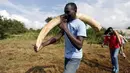 Sejumlah pekerja membawa gading gajah berukuran besar untuk dibakar di Nairobi National Park, Kenya, (20/4). Sebanyak 105 ton gading gajah berhasil diamankan petugas Kenya Wildlife Service (KWS). (REUTERS / Thomas Mukoya) 
