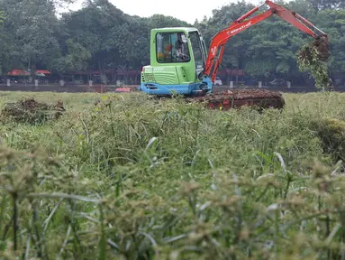 Alat berat melakukan pengerukan lumpur dan tanaman liar yang tumbuh di Setu Babakan, Jakarta, Kamis (9/11). Pengerukan dilakukan untuk menambah kapasitas tampung Setu Babakan serta sebagai langkah antisipasi banjir. (Liputan6.com/Immanuel Antonius)