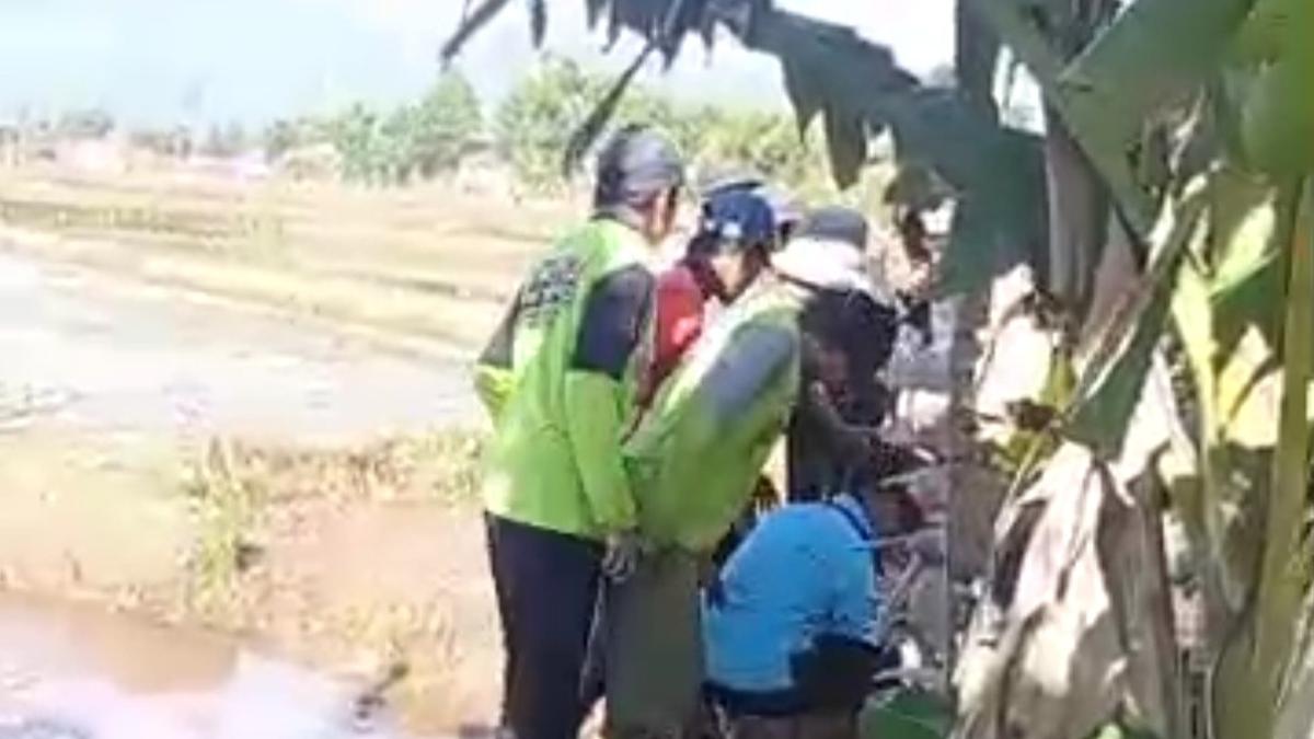 Geger Bayi Dibuang ke Tengah Sawah Cianjur, Pengakuan Pelaku Bikin Miris