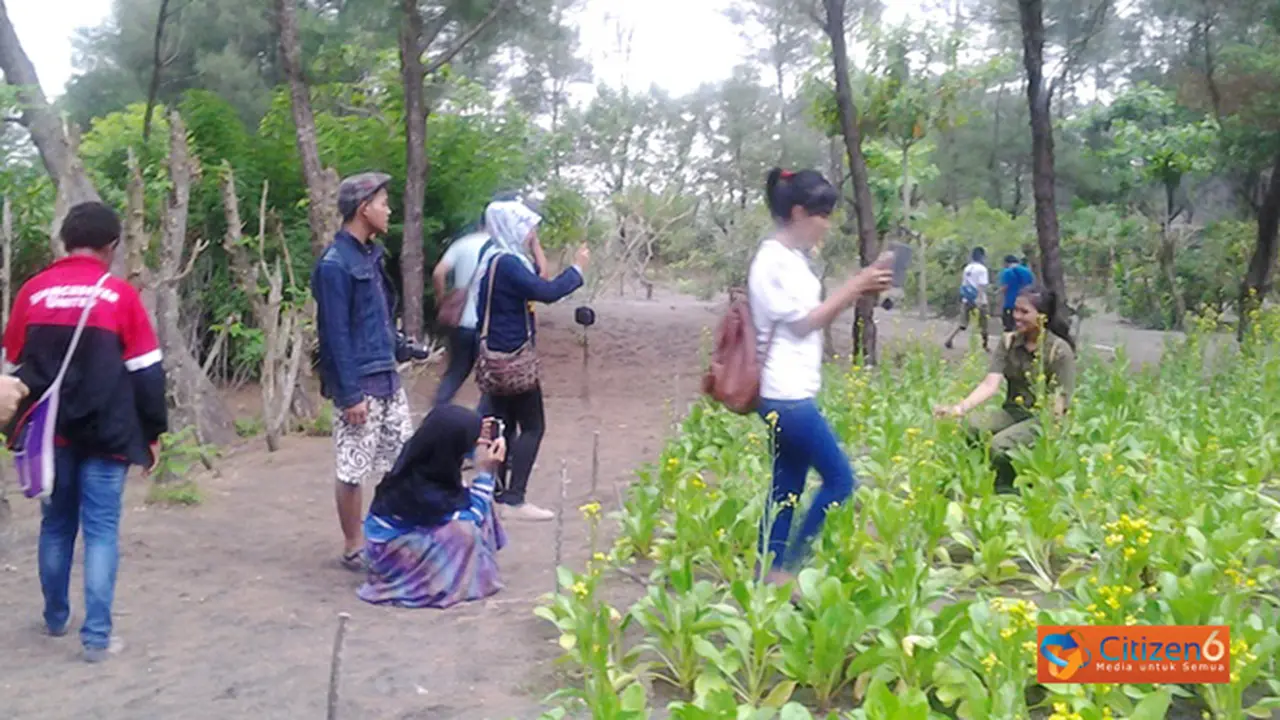Serunya Kunjungan 350 Komunitas di Lahan Pasir Pantai Bantul