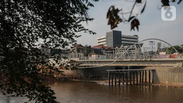 Sungai Ciliwung