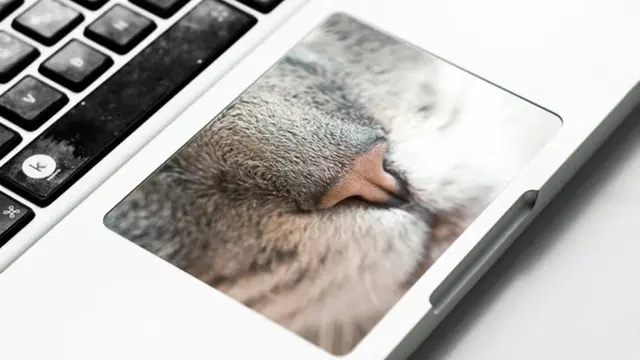 [BIntang] 10 Stiker Keyboard Laptop yang Bikin Kamu Betah Ngetik Terus