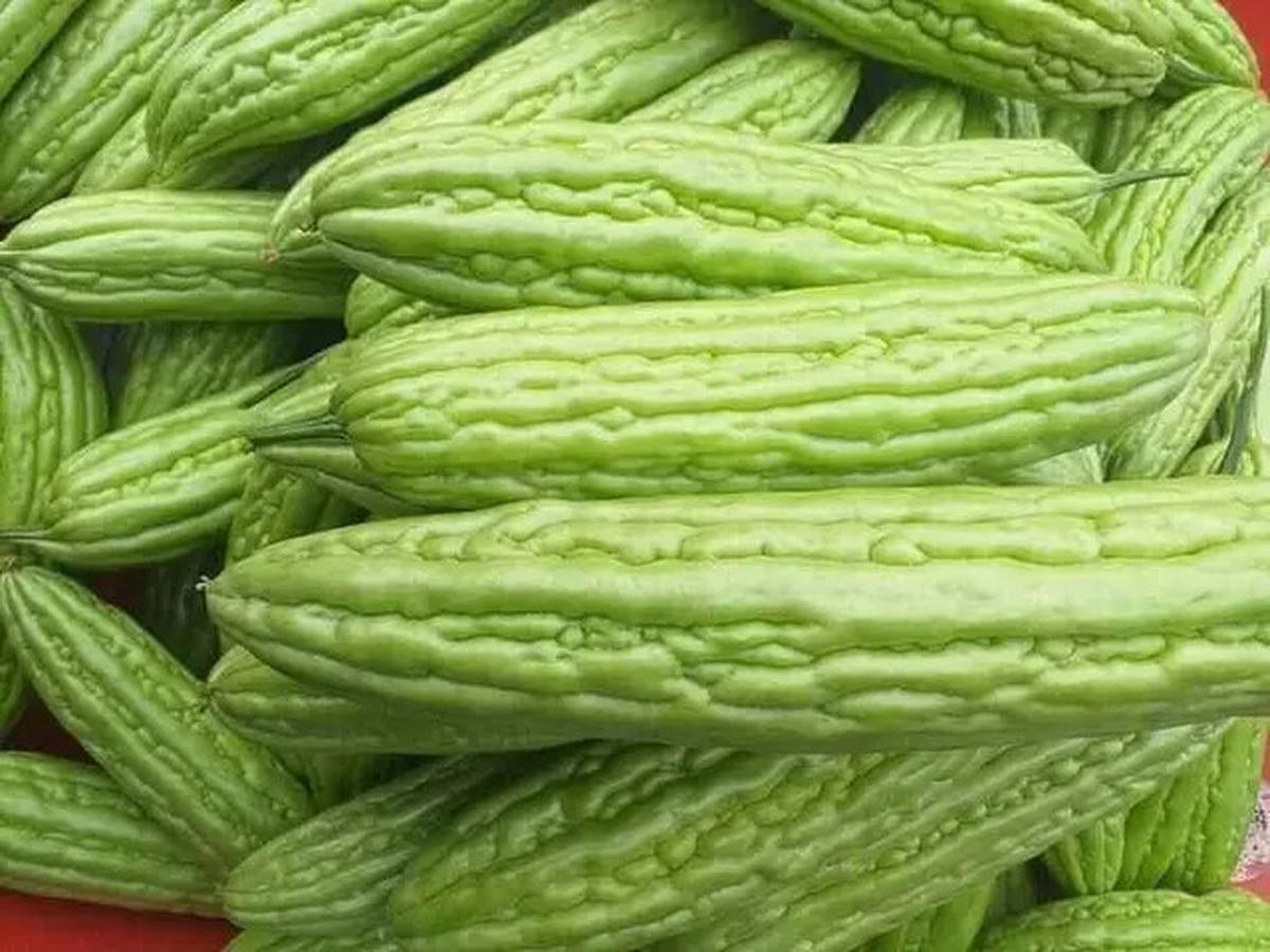 Manfaat Pare untuk Turunkan Kolesterol dan Gula Darah