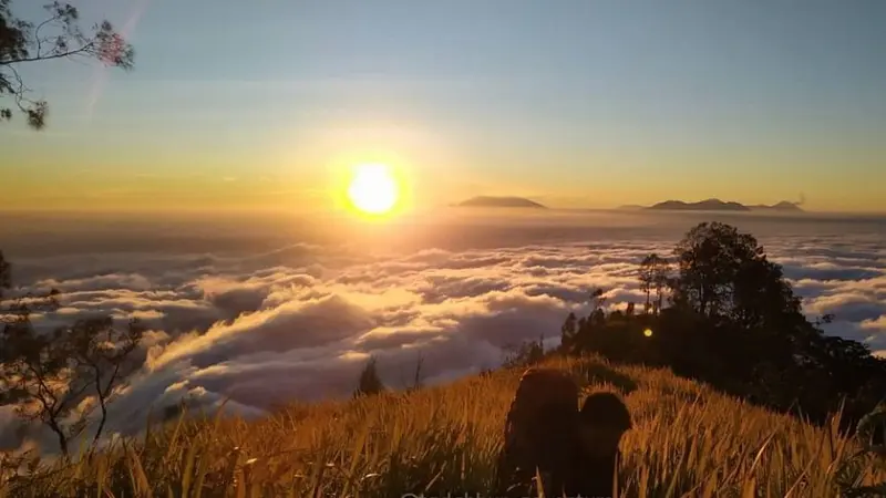 Pemandangan dari Gunung Wilis