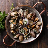 Ilustrasi kerang/copyright shutterstock By Lisovskaya Natalia