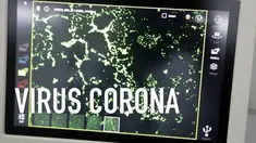 Publik panik setelah Presiden Jokowi resmi mengumumkan virus corona positif masuk Indonesia. Padahal, virus ini tak semematikan yang sering dipikirkan publik. Dan sikap panik justru membahayakan. Yang kita perlukan adalah menjaga daya tahan dan keber...
