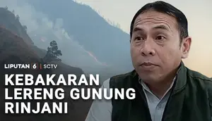 Kebakaran Lereng Gunung Rinjani