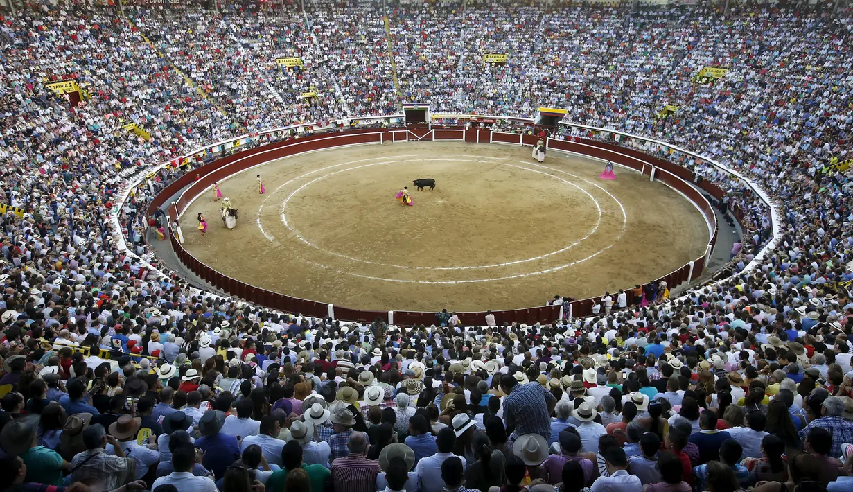Ribuan penonton menyaksikan matador asal Spanyol, Julian Lopez "El Juli" bersiap melawan banteng di Festival adu banteng di Arena Canaveralejo, Cali, Kolombia, (28/12). Festival ini di adakan tiap setahun sekali menjelang akhir tahun. 