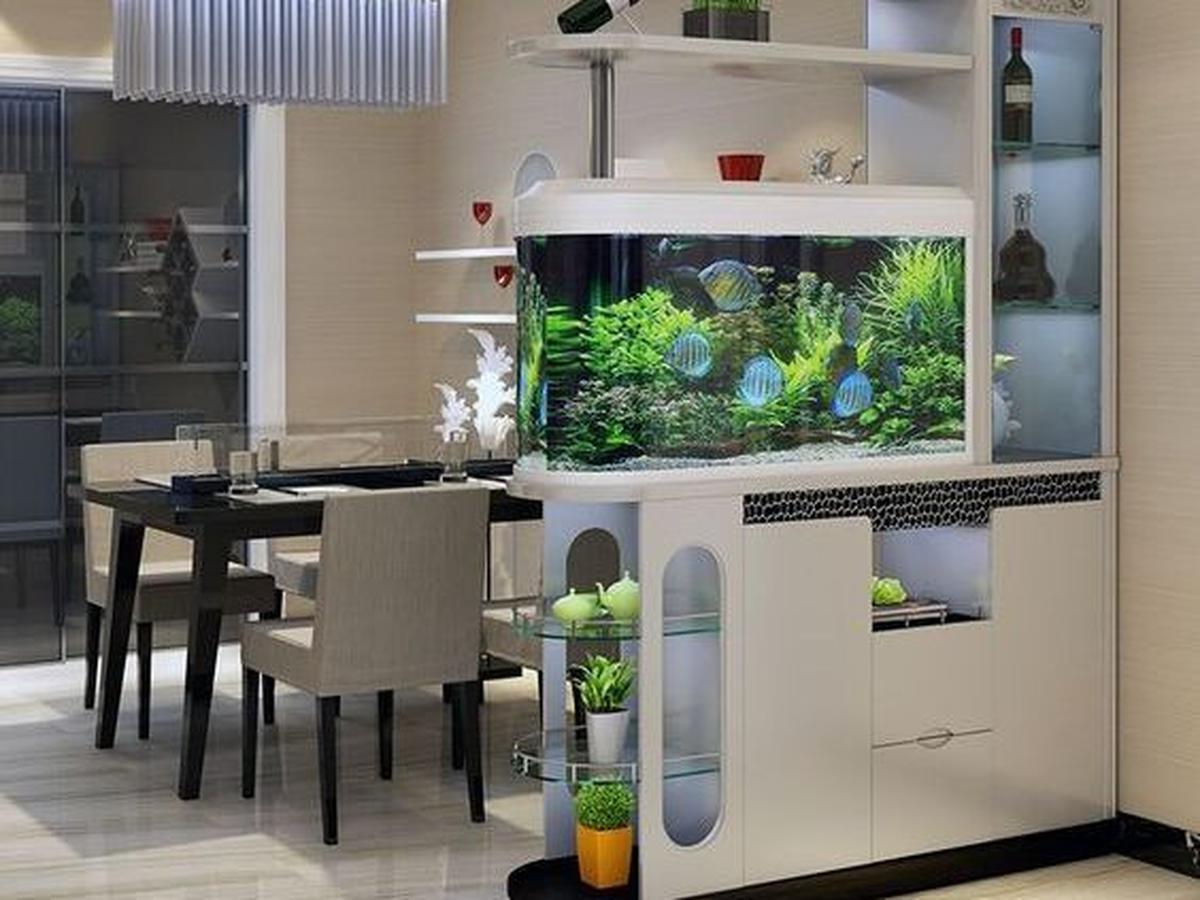 Kolam Ikan Minimalis di Dapur dengan Aquarium