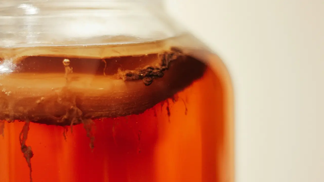 Kombucha: Minuman Fermentasi yang Masih Populer di 2025 dan Manfaatnya