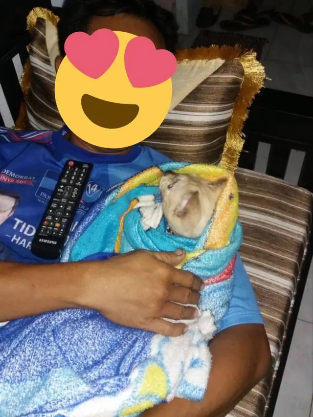 7 Potret Absurd Bapak-Bapak Momong Kucing Bak Anak Sendiri Ini Kocak