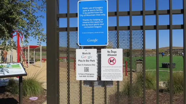 google-6-131008b.jpg