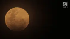 Para selebritas Tanah Air membagikan momen saat menyaksikan fenomena alam super blue blood moon.