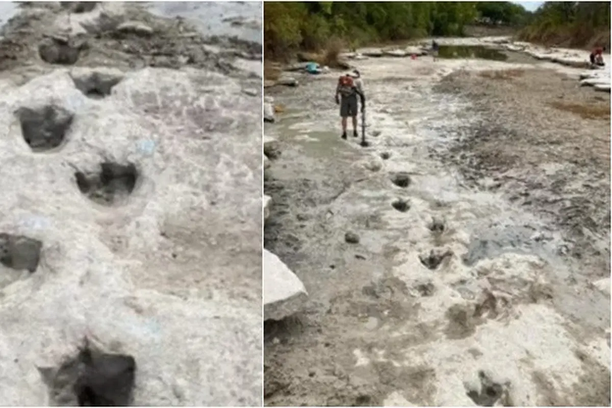 Viral Jejak Dinosaurus Dari 113 Juta Tahun 'Muncul Kembali' di Sungai yang Mengering