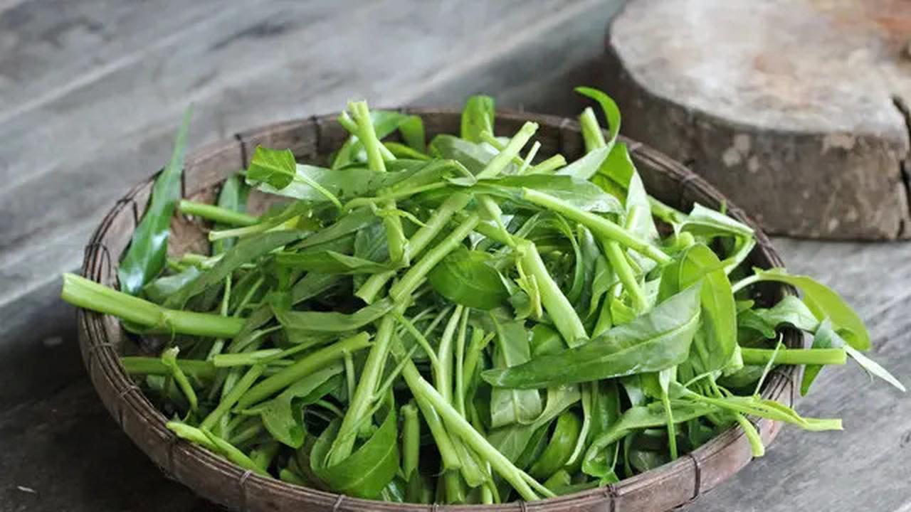 Rahasia Membersihkan Kangkung Bebas Kotoran dalam Waktu Singkat tanpa Ribet