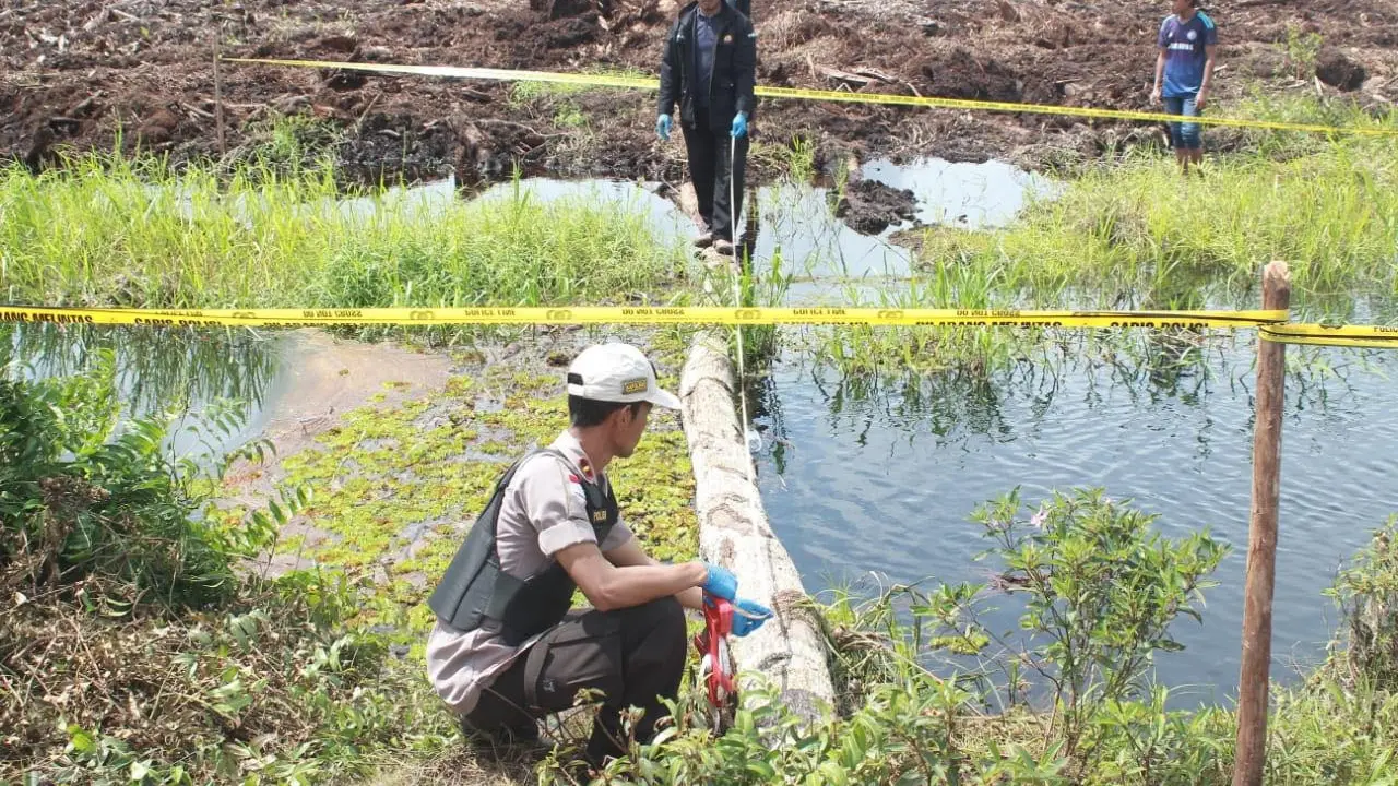 Titik Terang Pembunuh Orangutan yang Mengambang di Kanal Kebun Sawit
