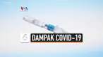 produksi jarum
