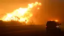 Kebakaran melanda sekitar 1.200 hektar lahan di wilayah barat laut Los Angeles, California, AS, Sabtu (26/12/2015). Petugas segera melakukan evakuasi terhadap Masyarakat di Pantai Solimar yang berisi 50 sampai 60 rumah. (REUTERS / Gene Blevins)