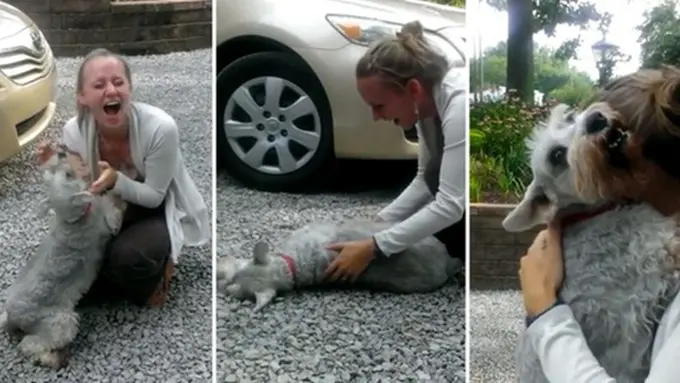 Photo copyright Youtube/RebeccaEhalt